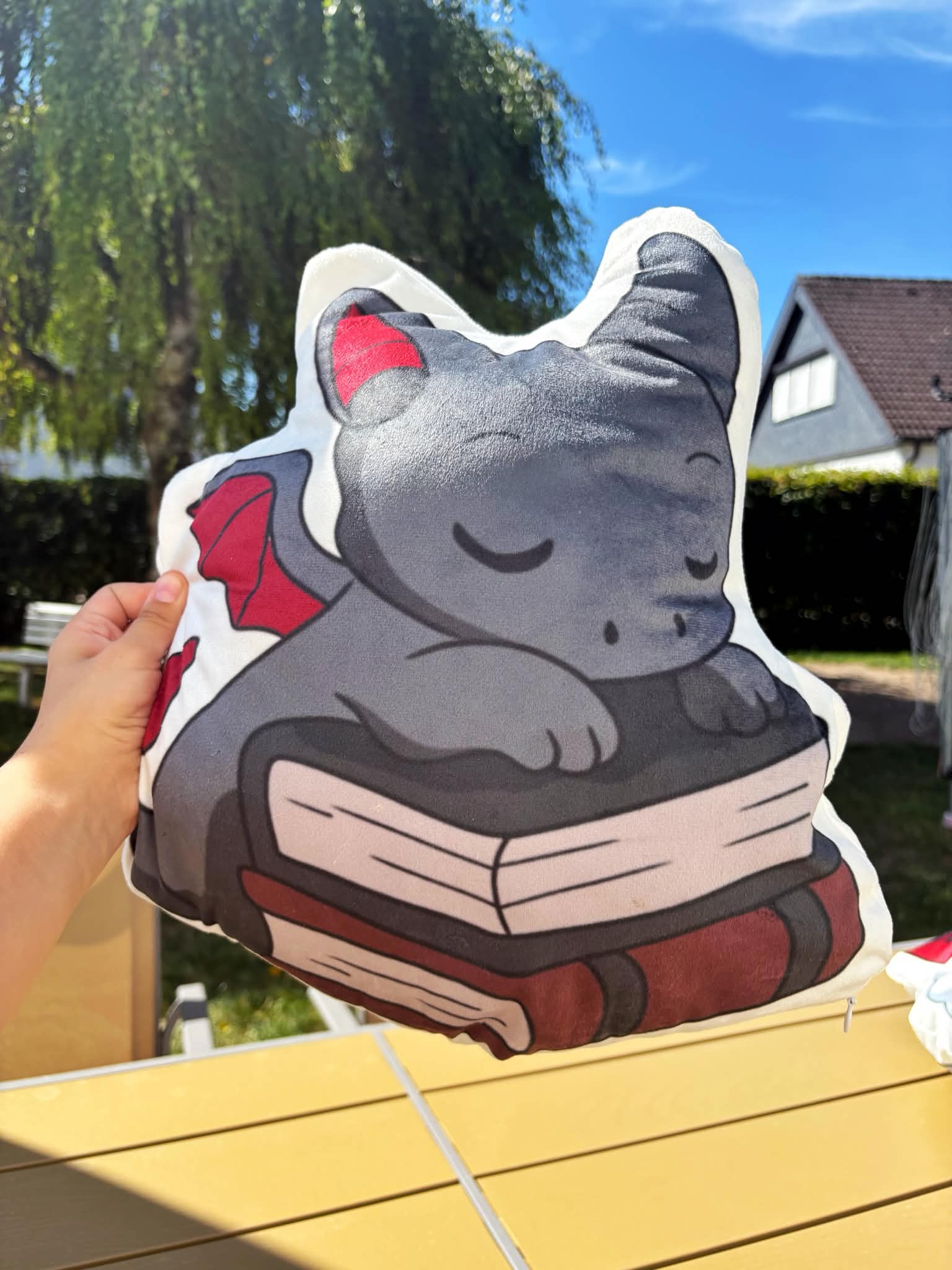 Book Lover Kissen 📚🐉