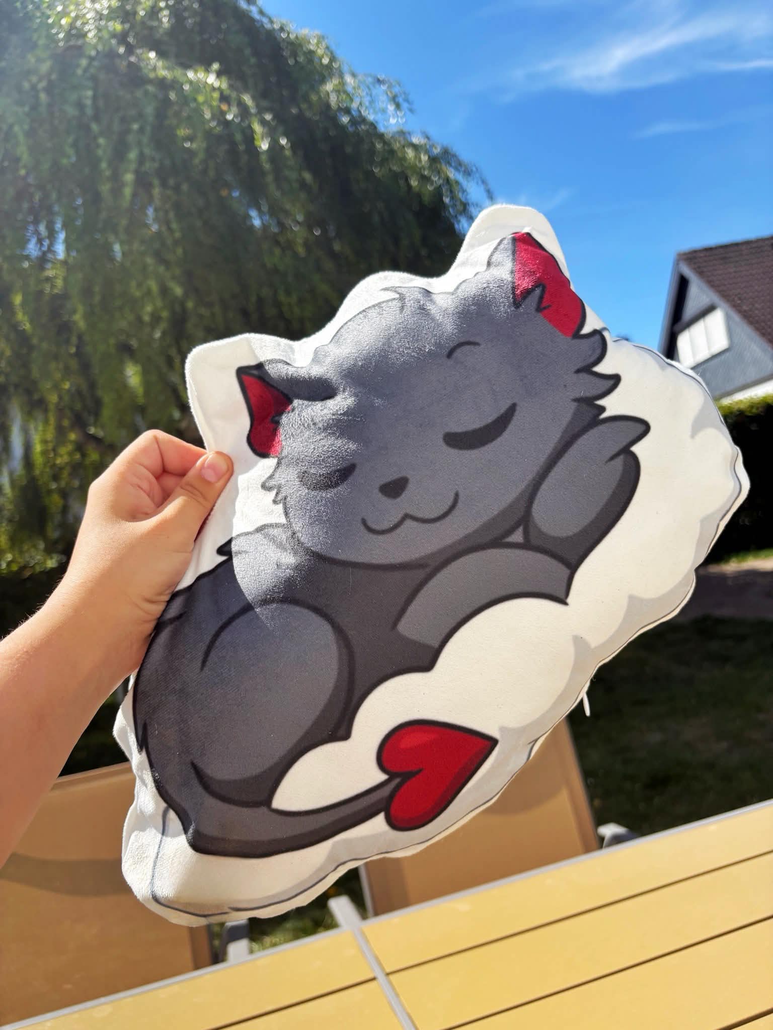 Sleeping Cat Kissen ☁️